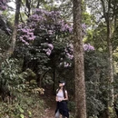 深圳旅游 缩略图 9