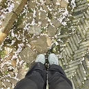 苏州旅游 缩略图 13