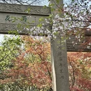 苏州旅游 缩略图 12