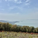 苏州旅游 缩略图 10