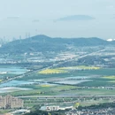 舟山旅游 缩略图 7