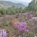 苏州旅游 缩略图 3