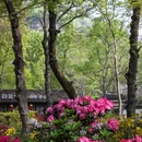 苏州旅游 缩略图 4