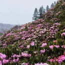 吉安旅游 缩略图 2