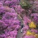 青岛旅游 缩略图 1