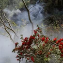 苏州旅游 缩略图 6