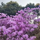 苏州旅游 缩略图 1