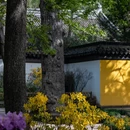 苏州旅游 缩略图 5
