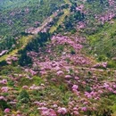 吉安旅游 缩略图 3