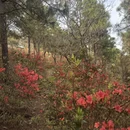 苏州旅游 缩略图 4
