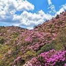 吉安旅游 缩略图 5