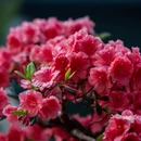 苏州旅游 缩略图 18