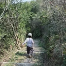 舟山旅游 缩略图 10