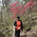 武汉旅游 缩略图 5