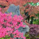 合肥旅游 缩略图 5