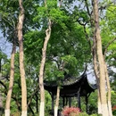 合肥旅游 缩略图 4