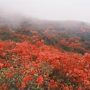 长沙旅游 缩略图 11
