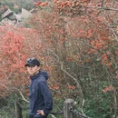长沙旅游 缩略图 12