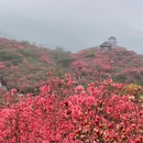 长沙旅游 缩略图 13