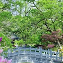 合肥旅游 缩略图 7