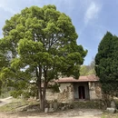 武汉旅游 缩略图 8