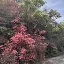 武汉旅游 缩略图 9