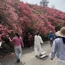 武汉旅游 缩略图 10