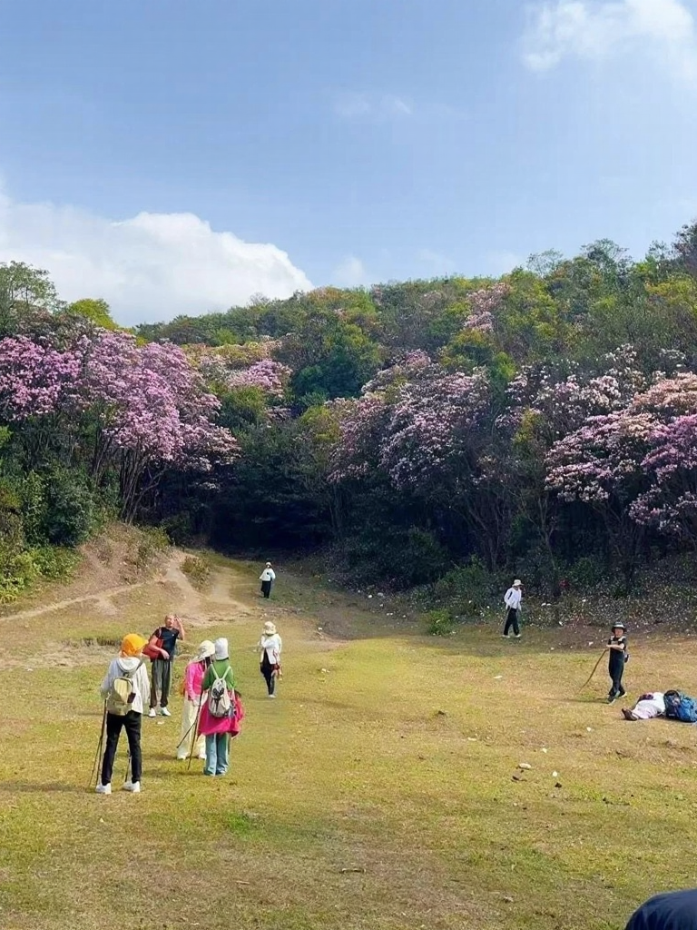 云浮旅游
