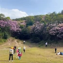 云浮旅游 缩略图 1
