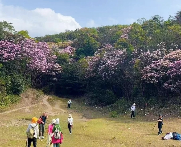 云浮旅游 1