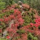 六安旅游 缩略图 1