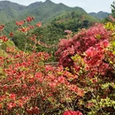六安旅游 缩略图 2