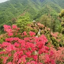 六安旅游 缩略图 3