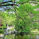 合肥旅游 缩略图 9