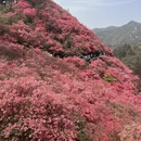 武汉旅游 缩略图 1