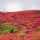 长沙旅游 缩略图 1