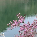 舟山旅游 缩略图 14