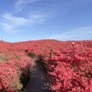 长沙旅游 缩略图 2