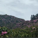 吉安旅游 缩略图 5