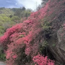 武汉旅游 缩略图 2