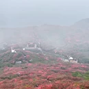 长沙旅游 缩略图 6
