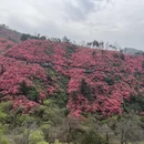 武汉旅游 缩略图 4