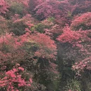 武汉旅游 缩略图 3