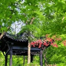合肥旅游 缩略图 3