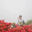 长沙旅游 缩略图 8