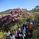 吉安旅游 缩略图 8