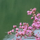 舟山旅游 缩略图 15