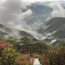 长沙旅游 缩略图 9