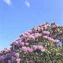 吉安旅游 缩略图 7