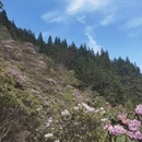 吉安旅游 缩略图 9